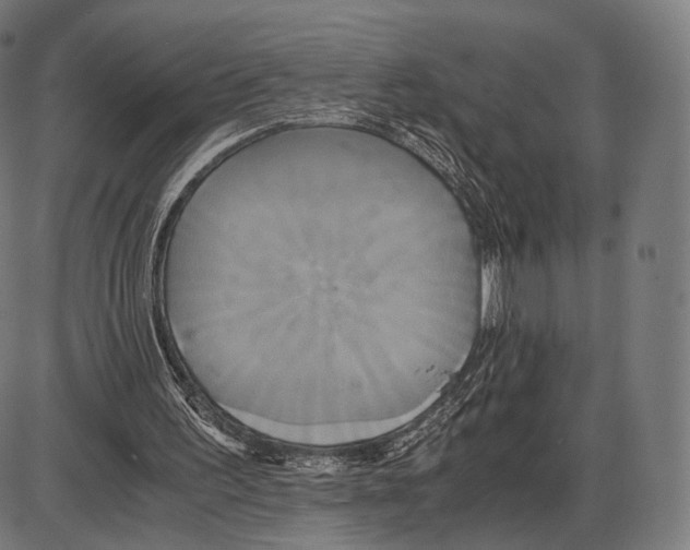 X0000084010195200703161722