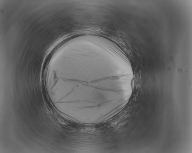 X0000084010196200703161722