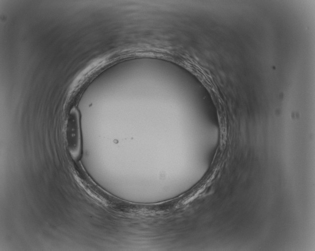 X0000084010197200703161722