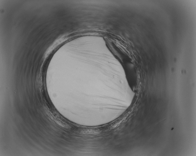 X0000084010198200703161722