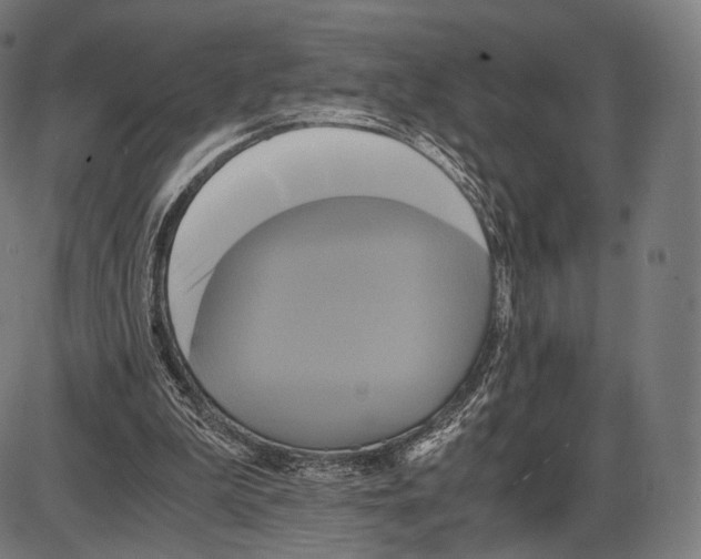 X0000084010199200703161722