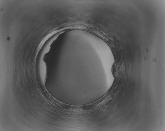 X0000084010200200703161722