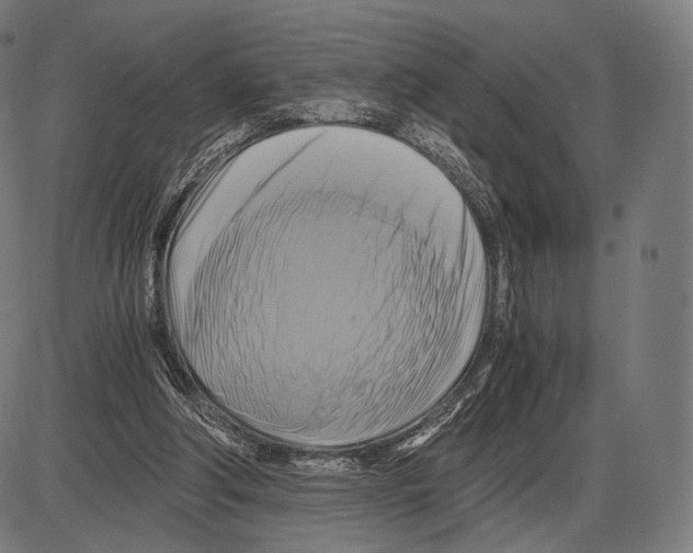 X0000084010202200703161722