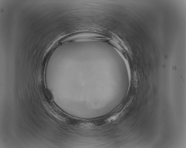 X0000084010203200703161722