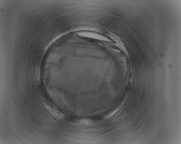 X0000084010204200703161722