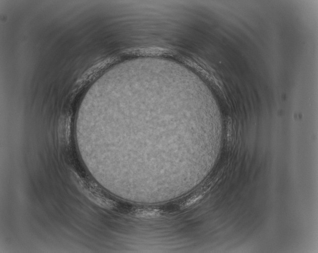 X0000084010206200703161722