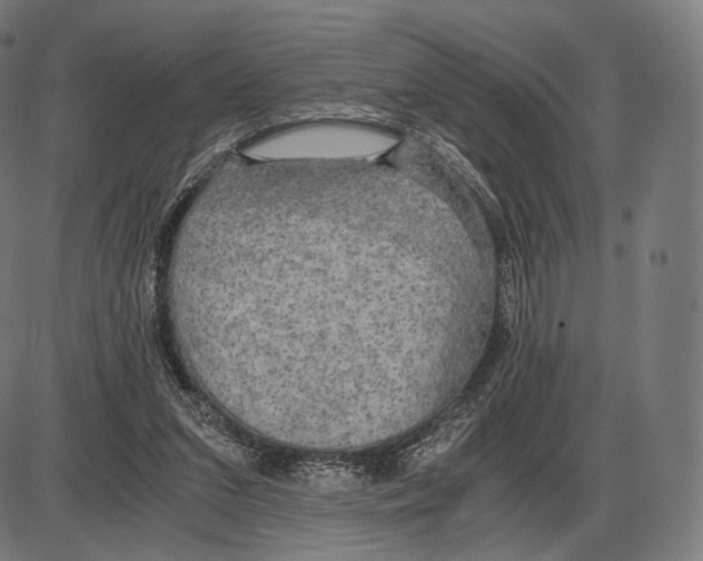 X0000084010207200703161722