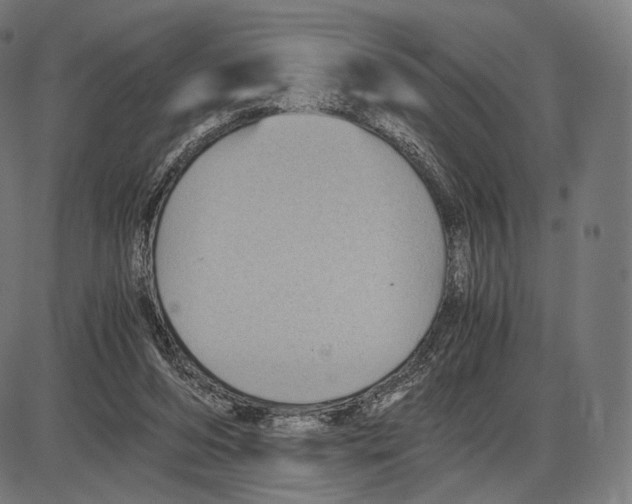 X0000084010208200703161722