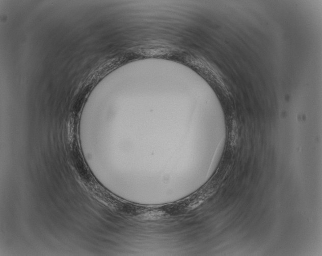 X0000084010210200703161722