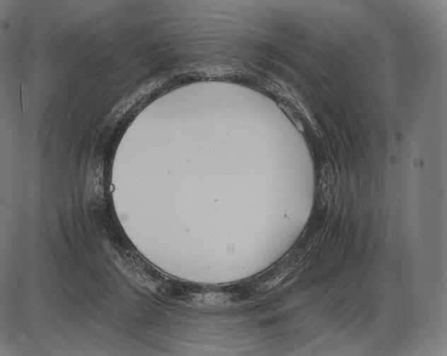 X0000084010212200703161722