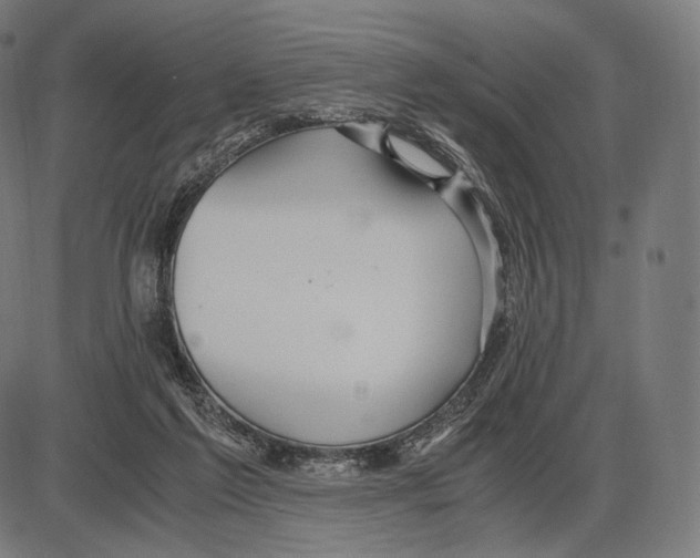 X0000084010213200703161722