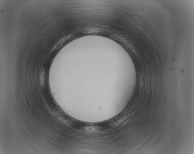 X0000084010216200703161722