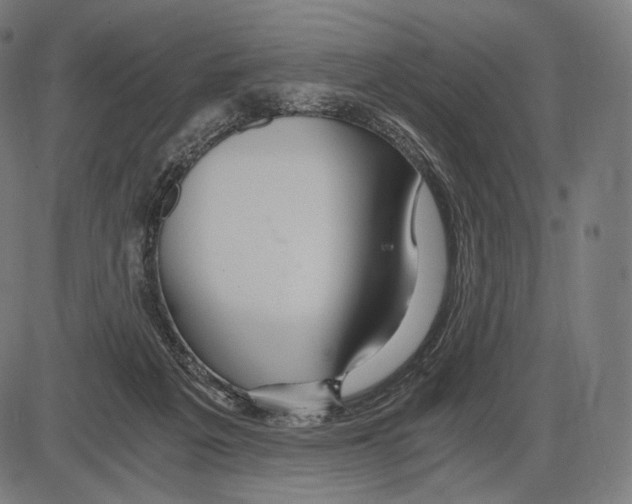 X0000084010217200703161722