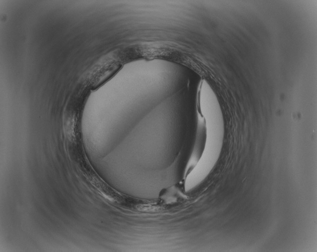 X0000084010219200703161722