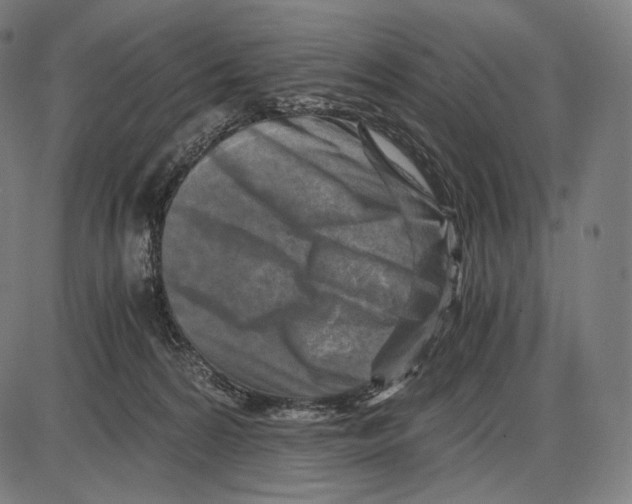 X0000084010224200703161722