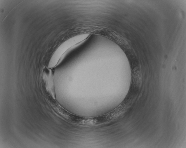 X0000084010225200703161722