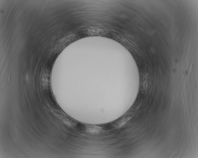 X0000084010226200703161722