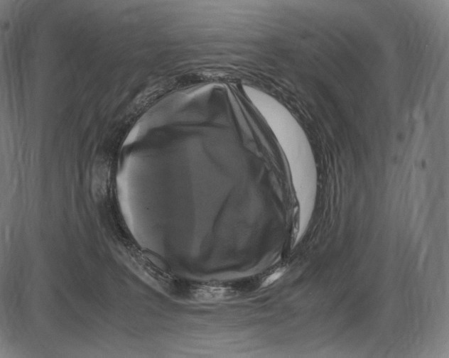 X0000084010227200703161722