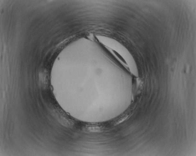 X0000084010228200703161722