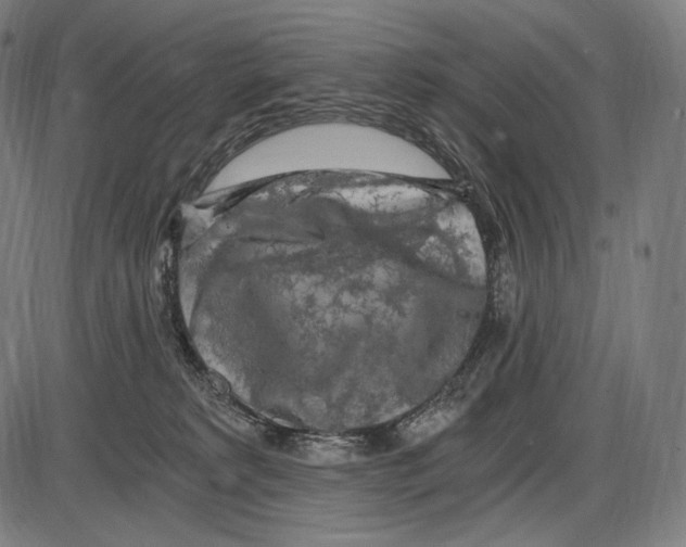 X0000084010229200703161722