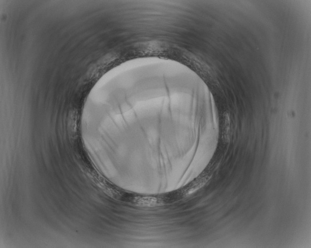 X0000084010230200703161722