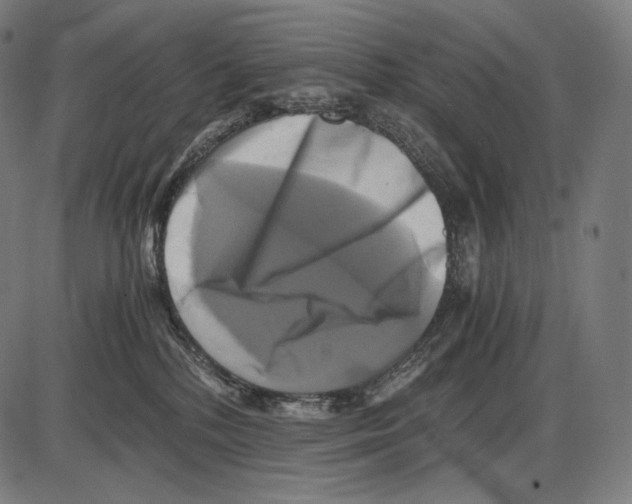 X0000084010232200703161722