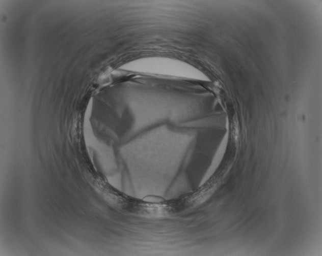 X0000084010233200703161722