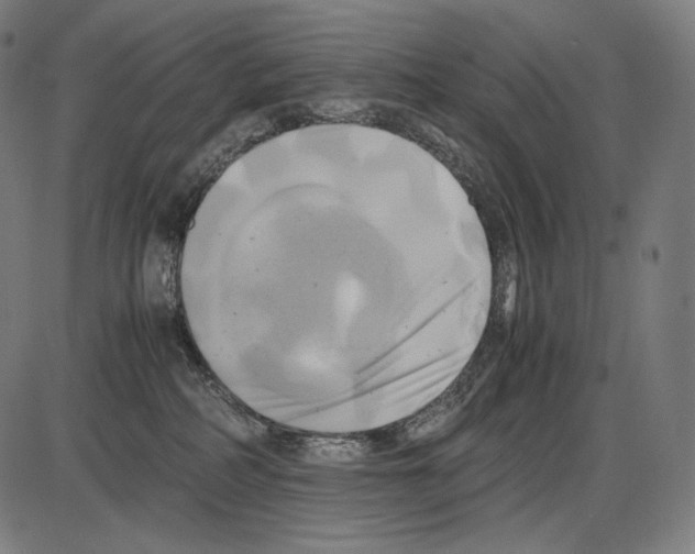 X0000084010234200703161722