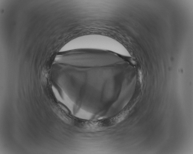 X0000084010235200703161722