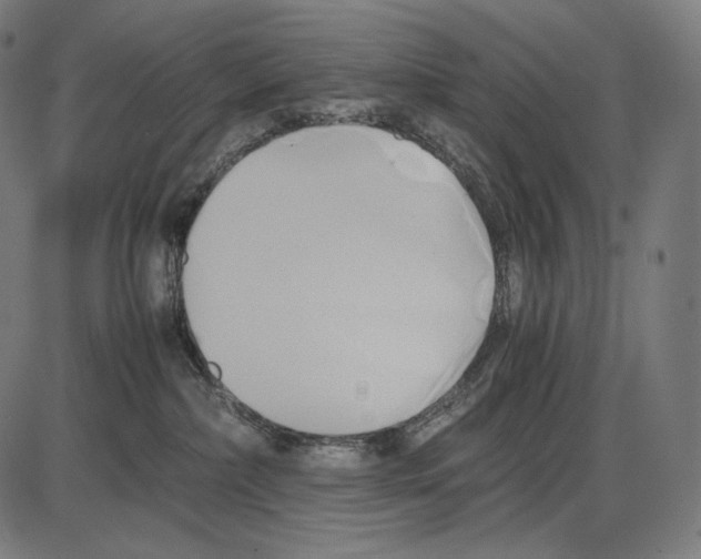 X0000084010236200703161722