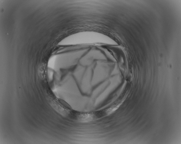 X0000084010237200703161722