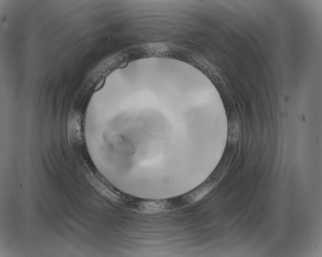 X0000084010238200703161722