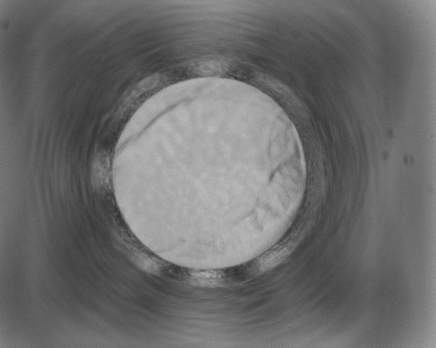 X0000084010240200703161722