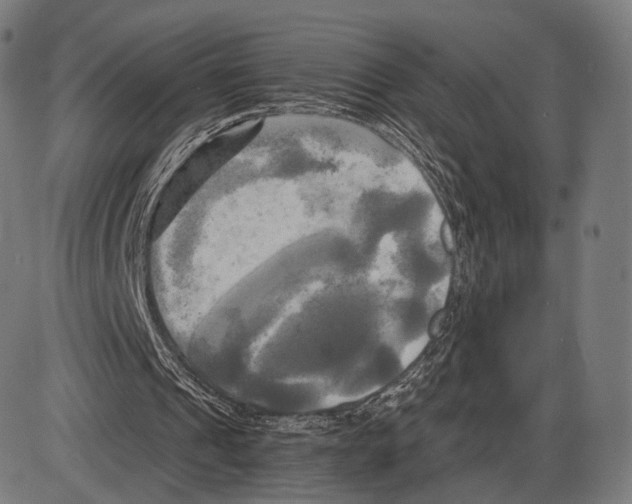 X0000084010241200703161721