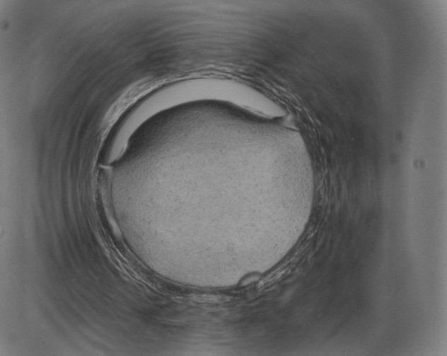 X0000084010242200703161721