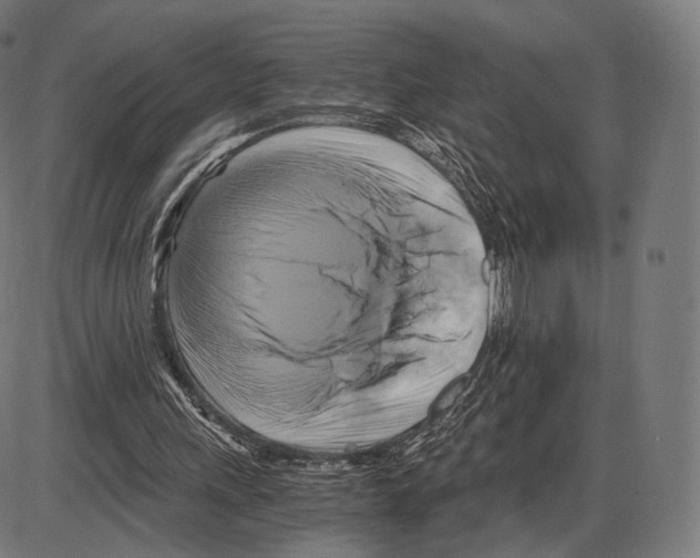 X0000084010243200703161721