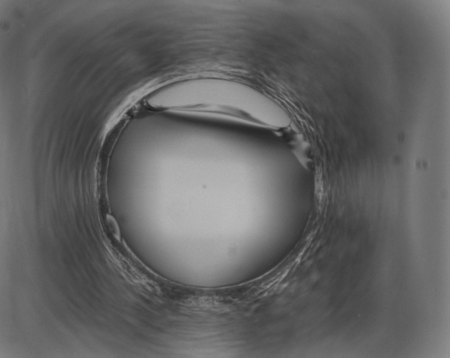 X0000084010244200703161721