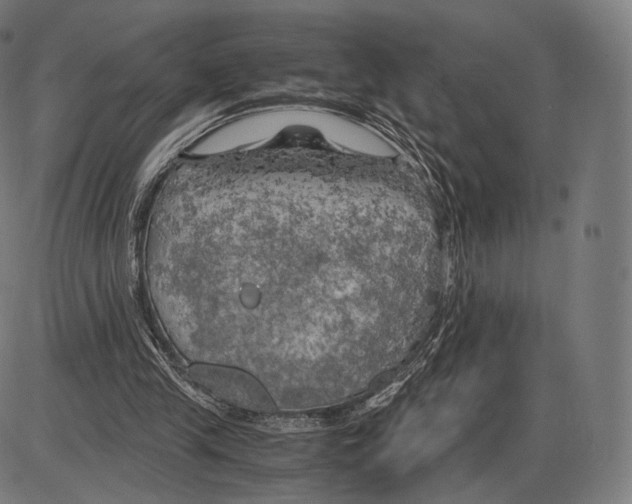 X0000084010245200703161721