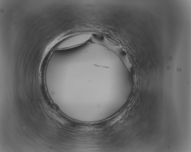 X0000084010246200703161721