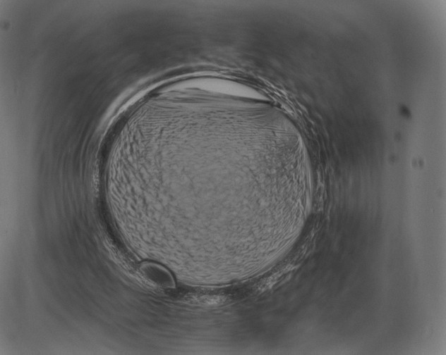 X0000084010247200703161721