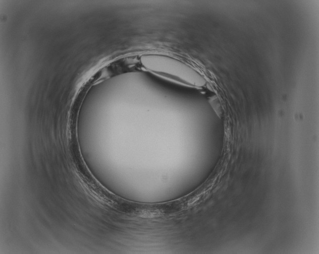 X0000084010248200703161721