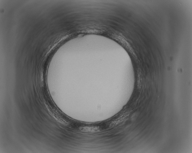 X0000084010251200703161721