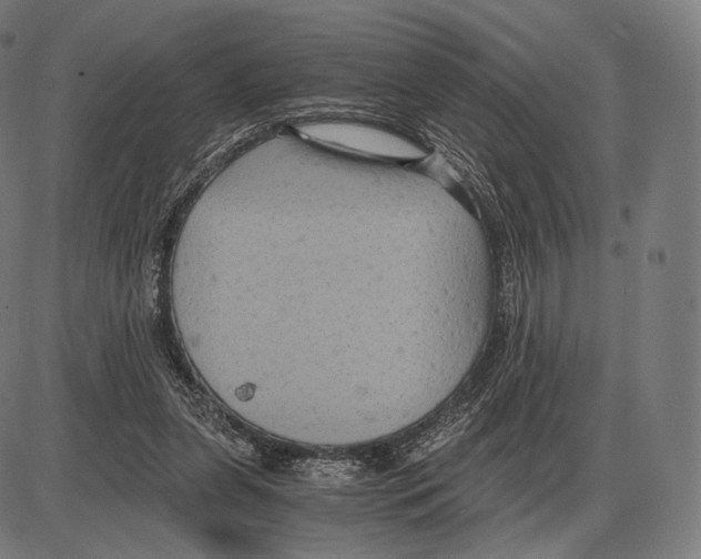 X0000084010255200703161721