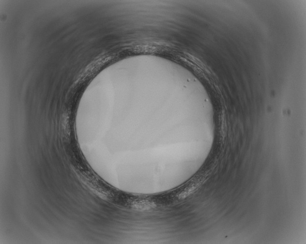 X0000084010258200703161721