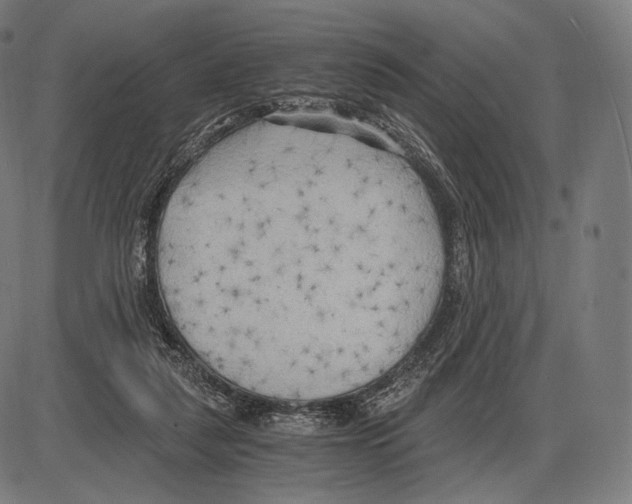 X0000084010259200703161721