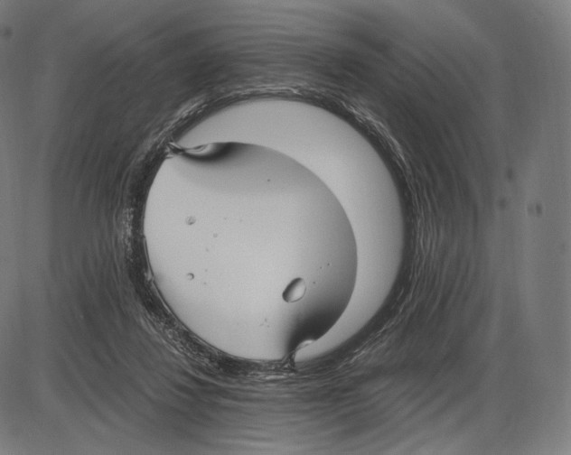 X0000084010260200703161721