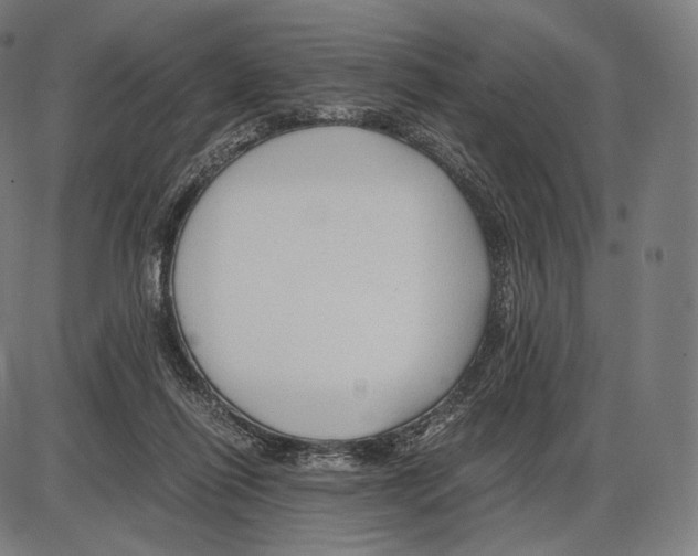 X0000084010262200703161721