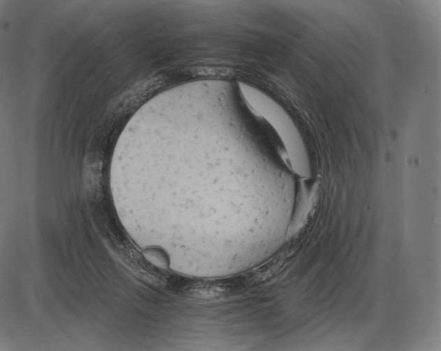 X0000084010263200703161721