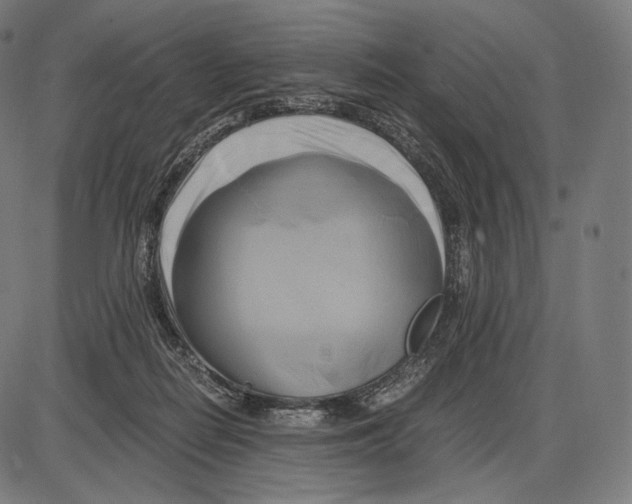 X0000084010266200703161721