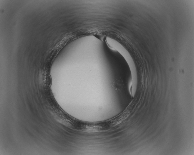 X0000084010268200703161721